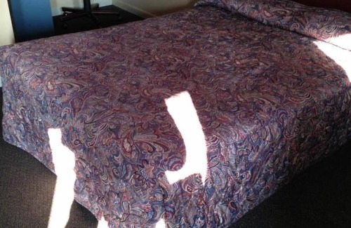 Coldwater Hotel | Comfortable Stay at Cadet Motor Inn with Breakfast Included
