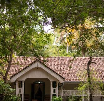 Anuradhapura Cabin | Cadjan Sacred Anuradhapura
