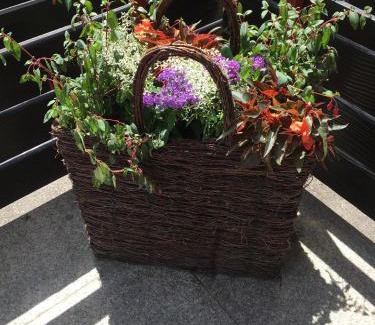 Hoefen an der Enz Bed & Breakfast | Pet-Friendly Café Blaich - Hotel Garni with Restaurant