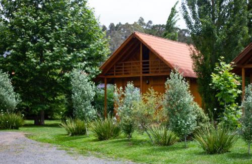 Urubici House | Cozy Café e Cabanas with Pet-Friendly Amenities