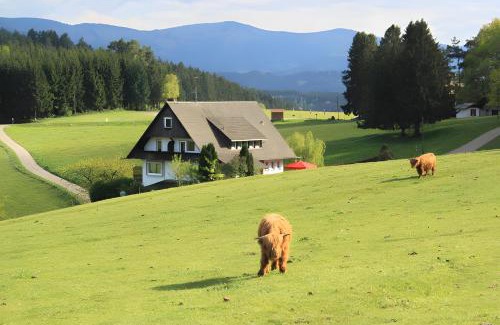 Muehlenbach House | Welcoming Café Pfaus Heidburg: Pet-Friendly & Family Fun