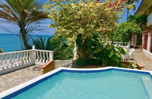 Boca Corona Hotel | Pet-Friendly CafeGourmetPtaCorona with Ocean Views & Pool