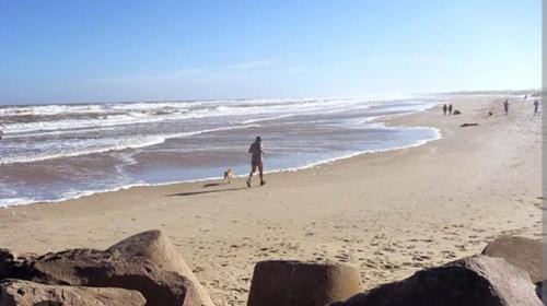 Barra del Chuy House | Pet-Friendly Cafofo SE: Ocean Views & Family Fun Await!