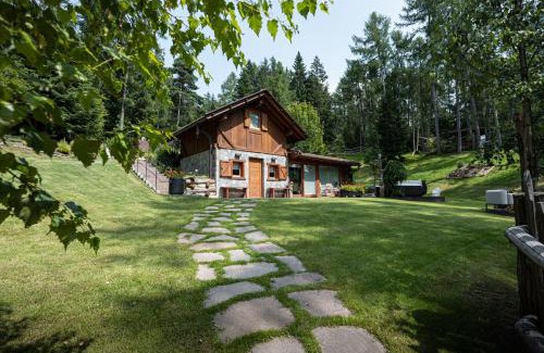 Fondo Cabin | Pet-Friendly Cain Comfort Chalet with Oceanfront Views