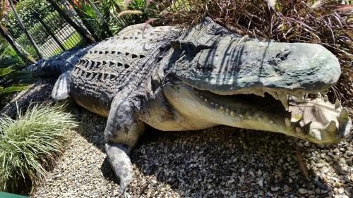 Woree Resort | Discover Cairns Gateway Resort: Family-Friendly Oasis