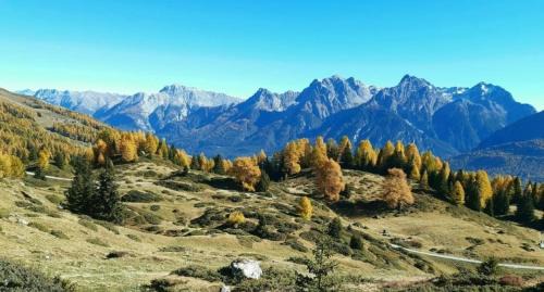 Engadin Scoul Apartment | Discover Family-Friendly Comfort at Cruschetta Hotel