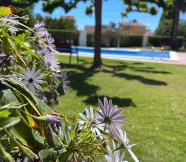 Vinaros Apartment | Experience Cala Puntal: Oceanfront Retreat with Pool Access