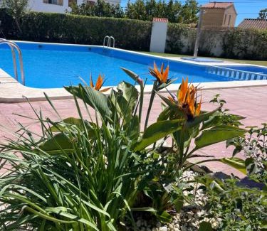 Vinaros Apartment | Experience Cala Puntal: Oceanfront Retreat with Pool Access