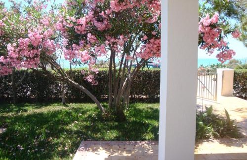 Punta Braccetto House | Cala Vigliena: Oceanfront Retreat with Pet-Friendly Perks