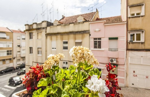 Penha de Franca Apartment | Calado E: Guest Rated 10/10 with Spa & Breakfast Options