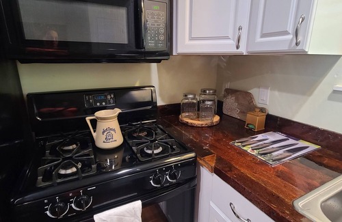 Afton House | Discover Calhoun Lakehouse: Pet-Friendly Retreat on Monkey Island