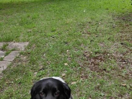 Cosquin House | Pet and Child Friendly Retreat in Vibrant Cali