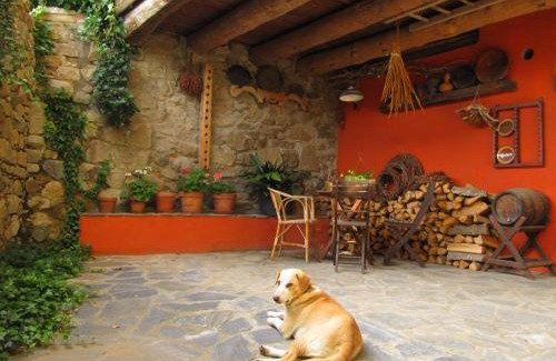 Travesseres Apartment | Discover Callliuret: Family & Pet Friendly Retreat
