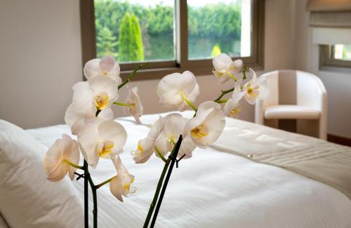Kastoria Hotel | Relax at Calma Hotel & Spa: 4-Star Oceanfront Retreat