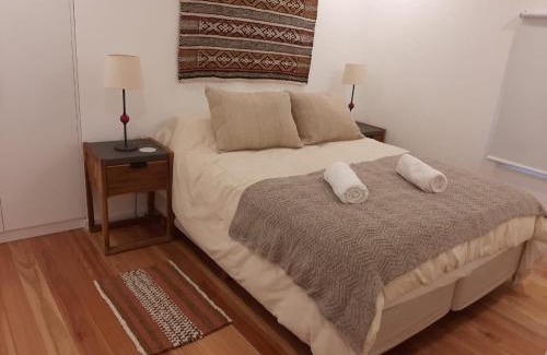Lanin National Park Apartment | Relax at Calma Sur Urbano with Family-Friendly Amenities