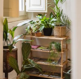 Putignano Apartment | Idyllic CALMAPIANTA: A Retreat for Green Lovers