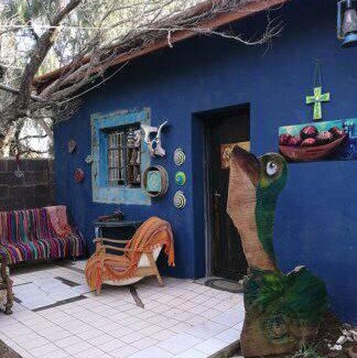 Calvinia House | Discover Calvinia Magic Garden: Pet-Friendly Retreat