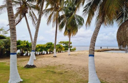Bocachica Bed & Breakfast | Guest Rated 10/10: CAMATAJUA BARU HOUSE with Pool & Breakfast