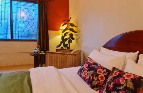 Kampot Bed & Breakfast | Eco-Friendly Cambodhi: Vegan Guesthouse with Great Amenities