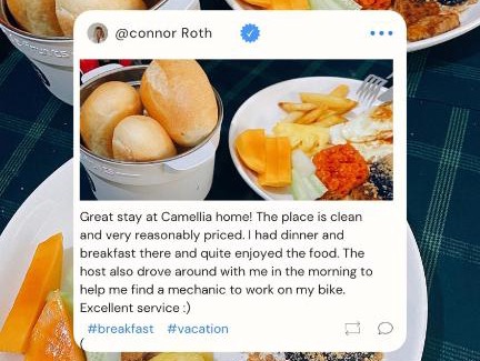 Lang Son Apartment | Exceptional Stay at Camellia Home - Guest Rated 10/10