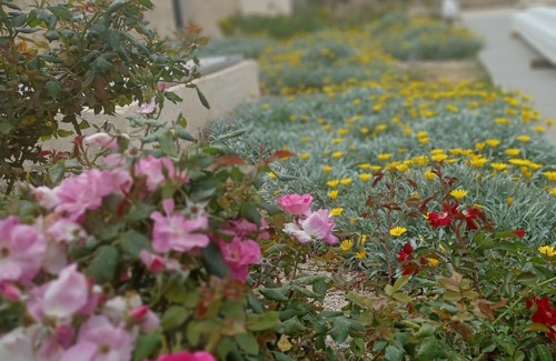 Santa Caterina House | Discover Camera Carolea: Your Retreat Among Salento's Olives
