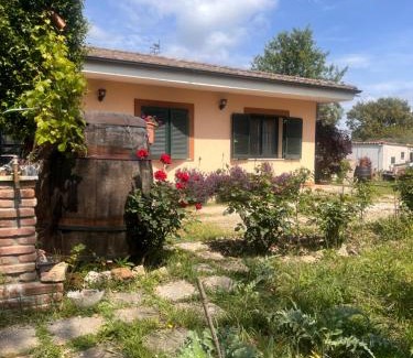 Nettuno House | Camera Ginevra