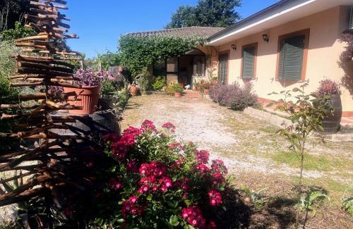 Nettuno House | Camera Ginevra