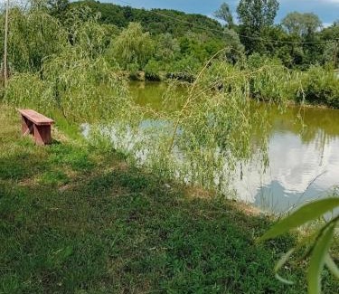 Copalnic-Manastur Cabin | Family-Friendly Escape at Camera Primăverii 1