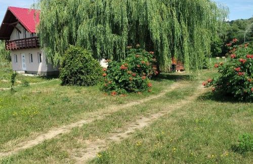 Copalnic-Manastur Cabin | Family-Friendly Escape at Camera Primăverii 1