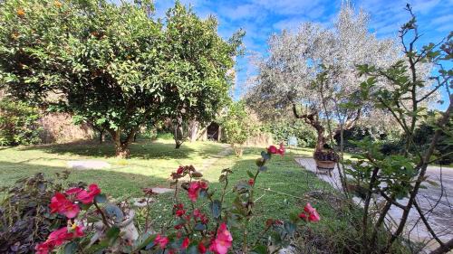 Minervino di Lecce House | Camere La Civetta, a 15 minuti dal mare di Otranto