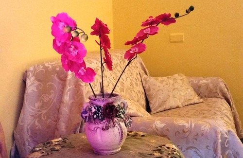 Fondi Bed & Breakfast | Cozy Camere Primavera B&B with Breakfast & Child Care