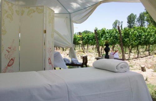 Tunuyan Hotel | Discover Caminos De Uco: Scenic Retreat with Pool & Views