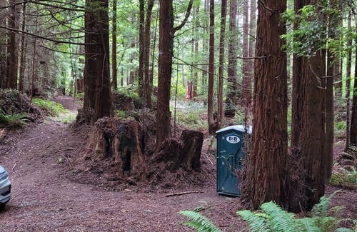 Fortuna RV Rental | Unforgettable Camp Among Private Redwoods - Pet Friendly