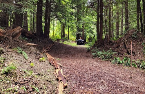Fortuna RV Rental | Unforgettable Camp Among Private Redwoods - Pet Friendly