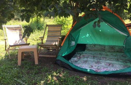 Virpazar Other | Pet-Friendly Retreat at Camp Podkraj with Ocean Views