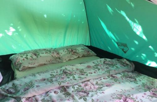 Virpazar Other | Pet-Friendly Retreat at Camp Podkraj with Ocean Views