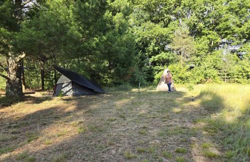 Luther Other | Camp retreat