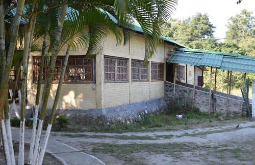 Nagaon Resort | Budget-Friendly Camp Rhino Resort with Breakfast Included