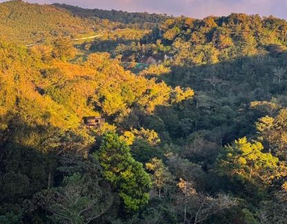 Piedades Sur Other | Campana Lodge n' Trails
