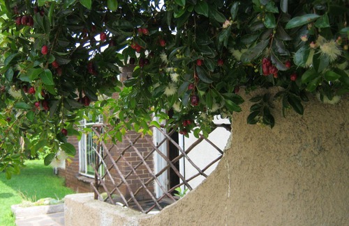 Greater Johannesburg Metropolitan Area Bed & Breakfast | Campbell's Boarding House - Home away from home - Unit 3
