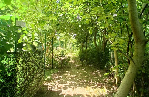 Bouges-le-Chateau RV Rental | Unique Nature Retreat near Beauval Zoo with Pool & Kitchen