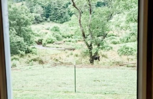 Burks Fork Cabin | Idyllic Camper Retreat with Creek View in Farm Setting