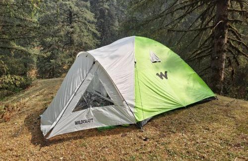 Shilla Other | Campfire Bliss