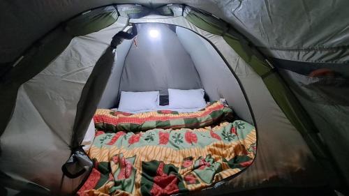 Shilla Other | Campfire Bliss