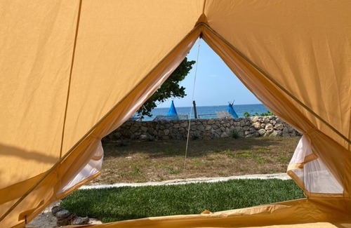 Bocachica RV Rental | Pet-Friendly Campground for Memorable Outdoor Getaways