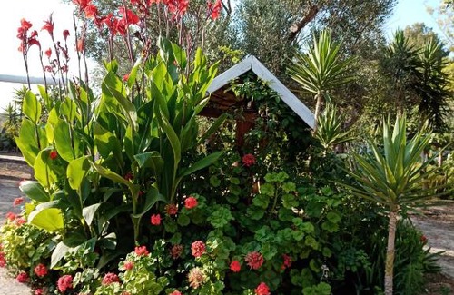 Galatone House | Pet-Friendly Campi Latini: Rated 10/10 with Great Amenities