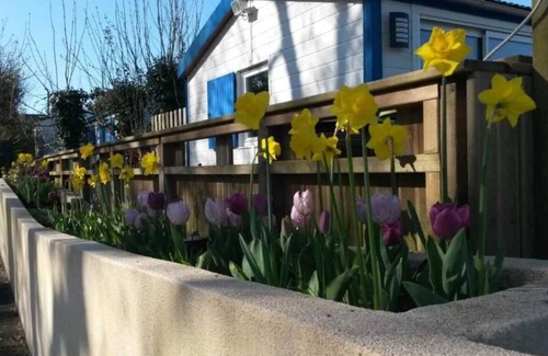Pouldreuzic House | Relaxing 3-Star Camping with Pool & Family-Friendly Amenities