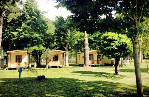 Montefiascone RV Rental | Pet-Friendly Retreat at Camping Amalasunta with Breakfast