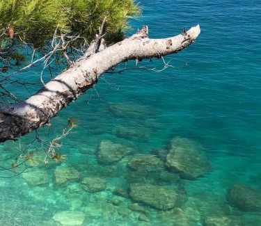 Mattinata Apartment | Discover Camping Apartment Vignanotica with Private Beach Access