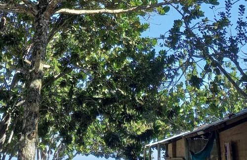 Paraty Other | Pet-Friendly Camping Atobá with Ocean Views & Breakfast